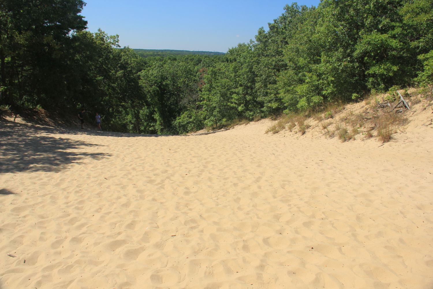 Indiana Dunes